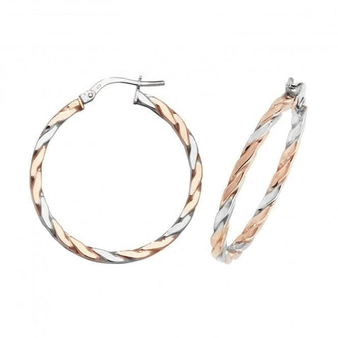 Ovale Creolen aus 9-karätigem Gold ER1041RW
