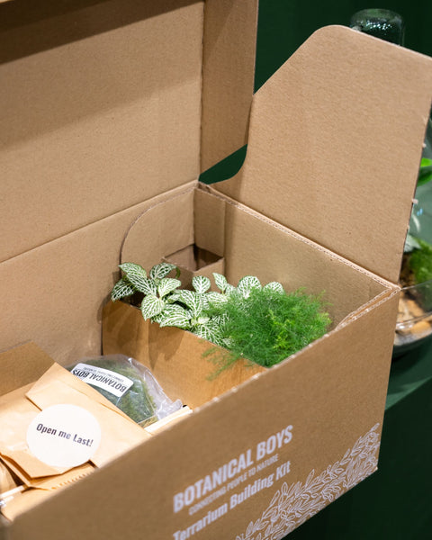 Kit de terrarium LAB Jar - 24 x 23 cm