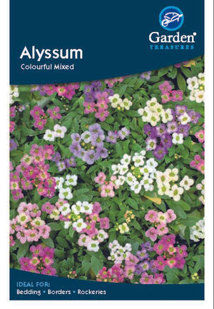 Alyssum-Samen 