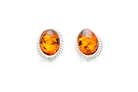 Amber Quintessence Ohrstecker