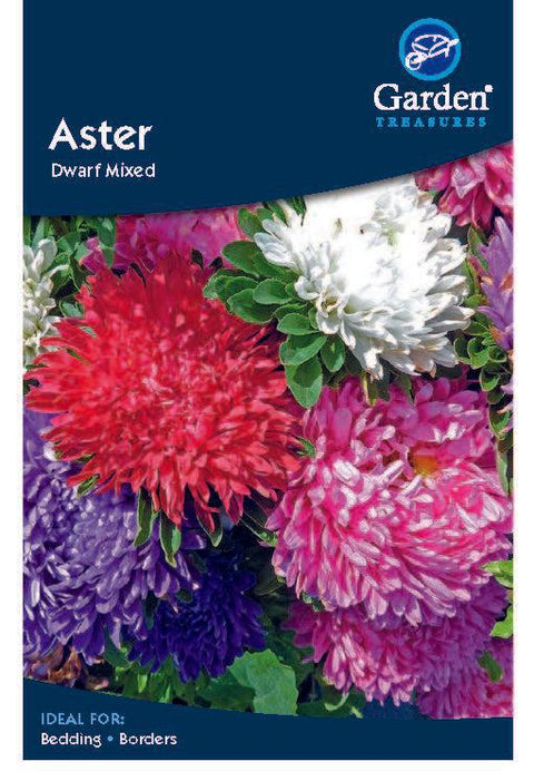 Asternsamen