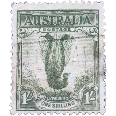Australia 1941 1 s - Australian Shilling Used Stamp Superb Lyrebird (Menura novaehollandiae)