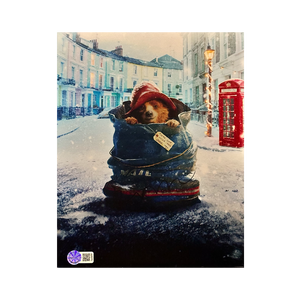 Ben Wishaw Signed Paddington 10x8 Image (AFTAL Authenticated)