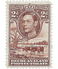 Bechuanaland Protectorate Stamp 1941 2 Penny George VI Cattle (Bos primigenius taurus)