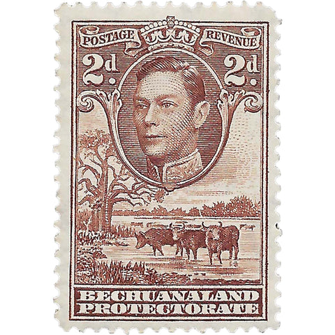 Bechuanaland Protectorate Stamp 1941 2 Penny George VI Cattle (Bos primigenius taurus)