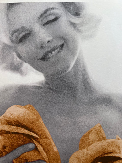 Bert Stern (1929 – 2013) - Marilyn Monroe Apricot Wink Roses