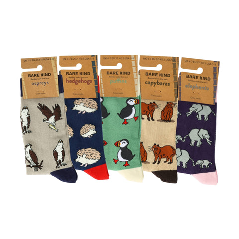Bestsellers 5 Pack Bamboo Sock Set