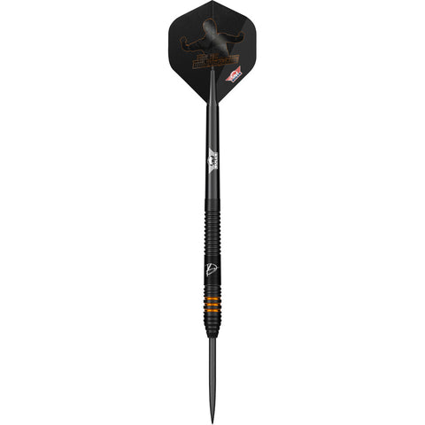 Bull's Dirk van Duijvenbode E2 90%