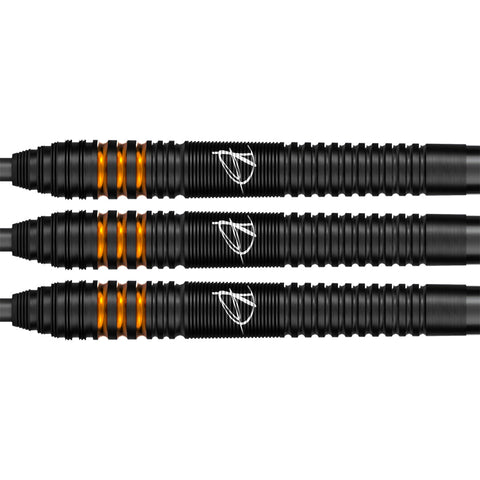 Bull's Dirk van Duijvenbode E2 90%