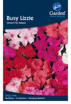 Bussy Lizzie (Zwerg-F2) Mischling