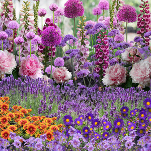 Our Hand Picked Selection of Butterfly and Bee Attracting Plants