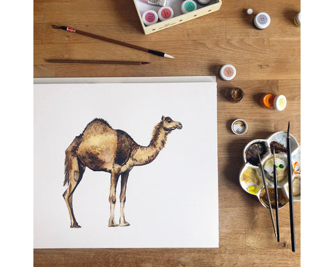 Camel Birthday Cake Happy Birthday Card