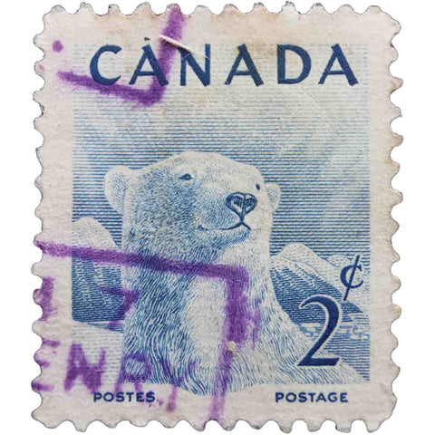 Canada 1953 2 - Canadian cent Used Postage Stamp Polar Bear (Ursus maritimus)