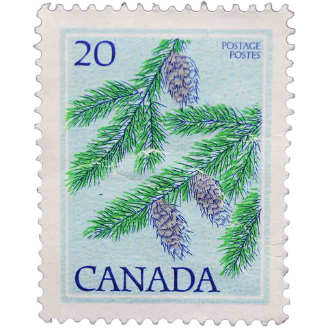 Canada 1977 20 - Canadian Cent Postage Stamp Douglas Fir, Pseudotsuga menziesii
