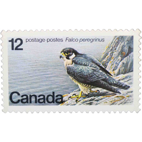 Canada 1978 12 - Canadian Cent Postage Stamp Peregrine Falcon (Falco peregrinus)