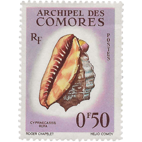 Comoros Stamp 1962 0.5 French African CFA franc Red Helmet Shell (Cypraecassis rufa)