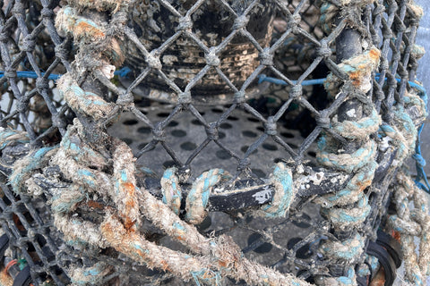 Original lobster pot