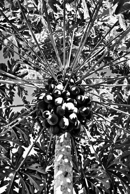 David Ballam - MZ 05