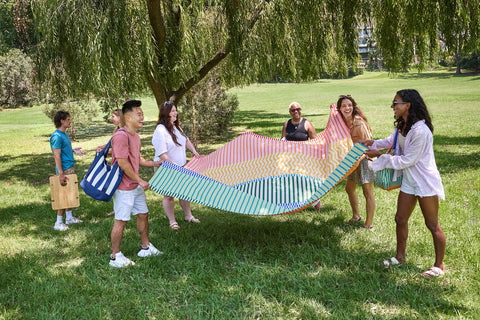 Stripe Up Your Life Picnic Blanket