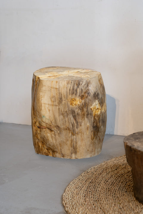 Beistelltisch/Hocker aus versteinertem Holz