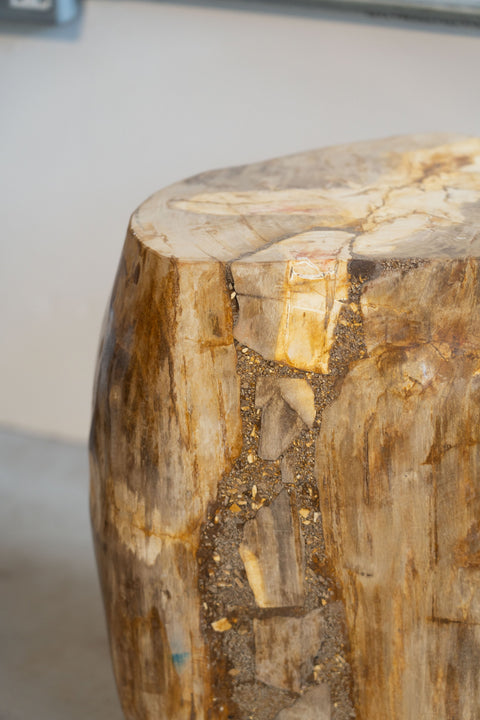 Beistelltisch/Hocker aus versteinertem Holz
