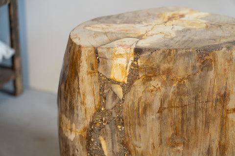 Beistelltisch/Hocker aus versteinertem Holz