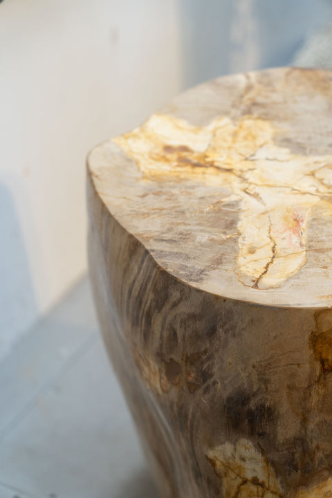 Beistelltisch/Hocker aus versteinertem Holz