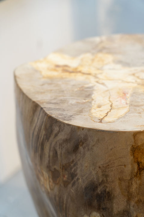 Beistelltisch/Hocker aus versteinertem Holz