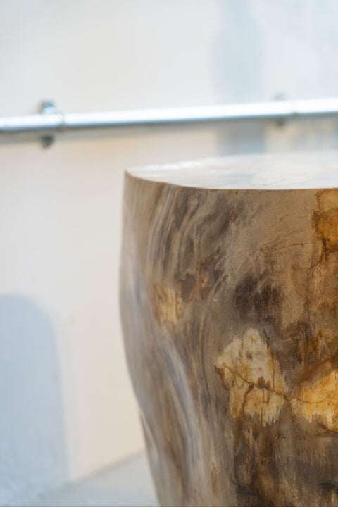 Beistelltisch/Hocker aus versteinertem Holz