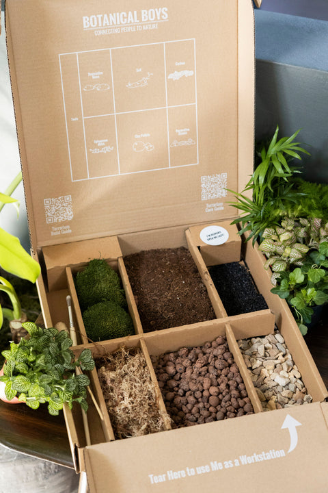 Bell Jar Terrarium Kit