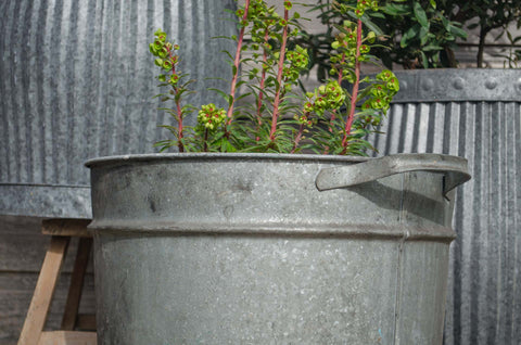 Large French zinc bucket