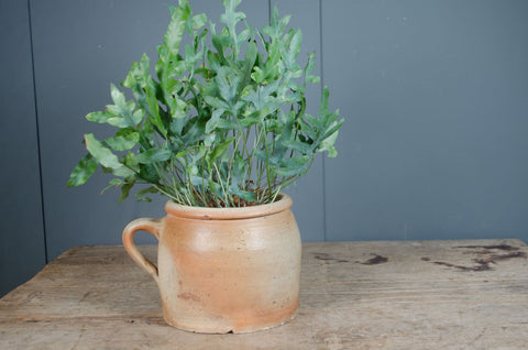 French confit pots - various sizes