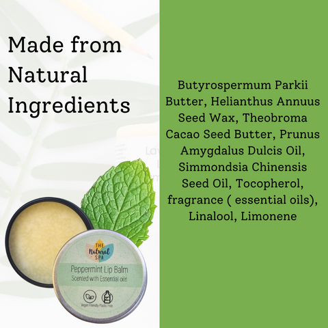 Peppermint Natural Lip Balm | Vegan, Hydrating & Nourishing | Plastic-Free, Handmade Lip Care