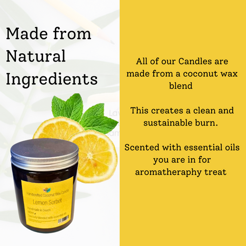 Lemon Sorbet Hand-Poured Coconut Wax Candle | Citrus & Natural Aromatherapy | Vegan, Eco-Friendly Candle | 2 Size Options
