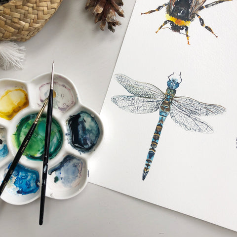 Dragonfly Greetings Card