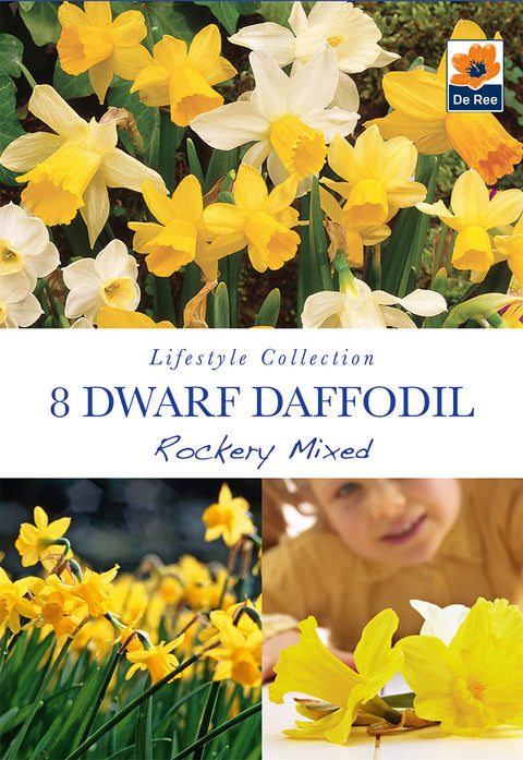 Dwarf Daffodil 'Rockery Mixed'(8 Bulbs)