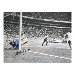 Gordon Banks Signed England 16x12 #1