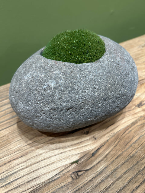 Indo Riverstone planted with Preserved Moss FR69