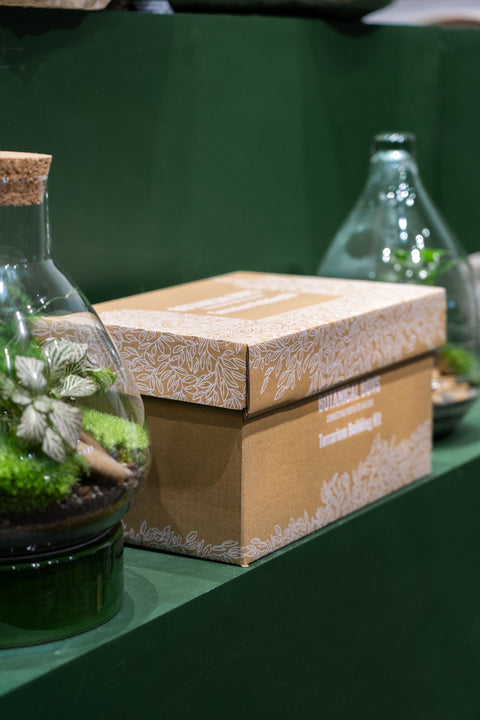 Eden Dome Terrarium Kit 16.5cm