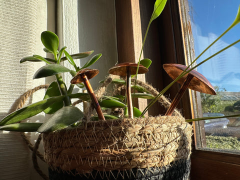 3 Copper Mushrooms