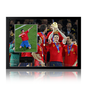 Fernando Torres Signed Spain Image Iconic Frame