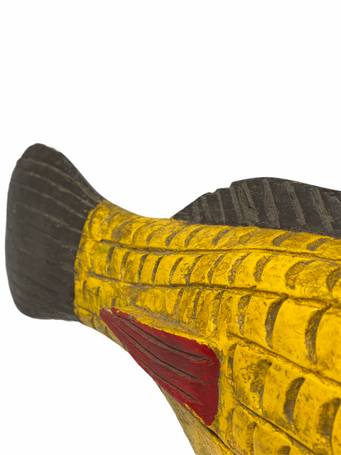 Puppet Fish Mali -  Large