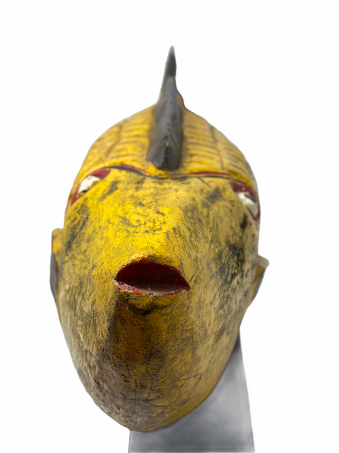 Puppet Fish Mali -  Large