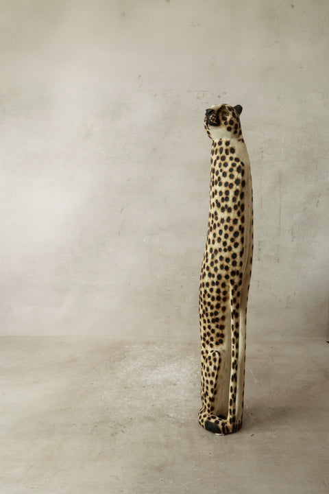 Swazi-Gepard - 37,1