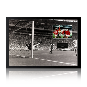 Gordon Banks Signed England Cut Iconic Frame