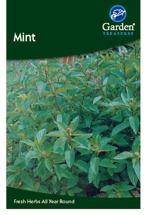 Mint Seeds