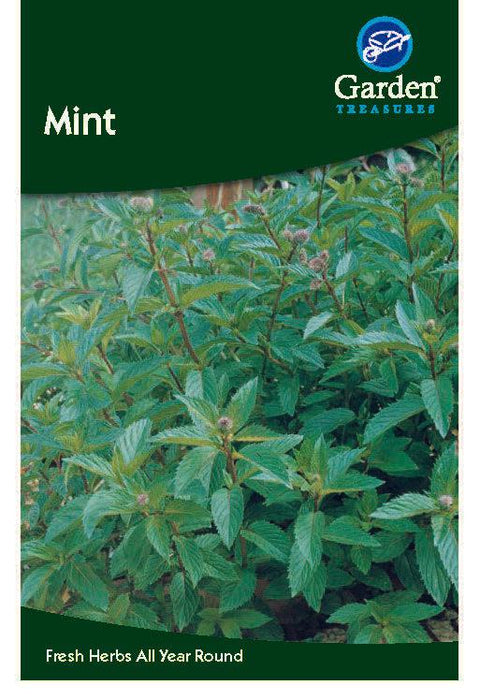 Mint Seeds