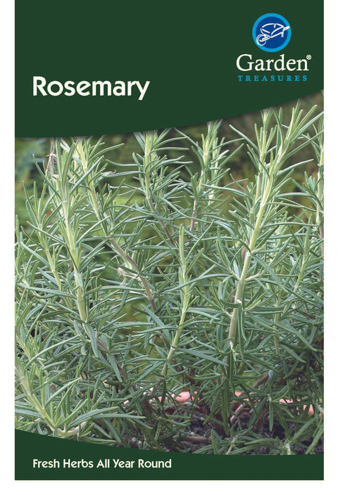 Rosmarinsamen