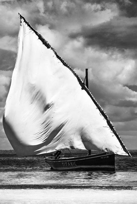 David Ballam - Ilha 72