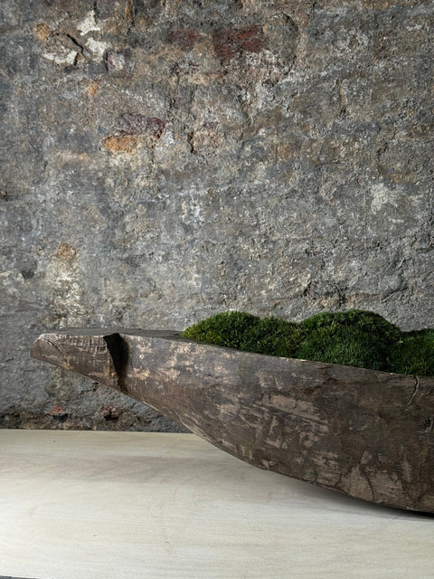 Mokoro Canoe with Preserved Moss Table Display FR56